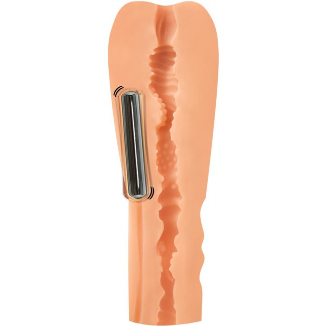 Мастурбатор-вагина в пластиковом футляре Nicole Aniston 6 режимов (25 см , телесный с серебряным)